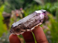Natural Window Amethyst Crystals x 7 From Chiredzi, Zimbabwe