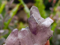 Natural Window Amethyst Crystals x 7 From Chiredzi, Zimbabwe