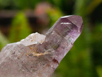 Natural Window Amethyst Crystals x 7 From Chiredzi, Zimbabwe