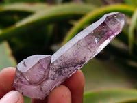 Natural Window Amethyst Crystals x 7 From Chiredzi, Zimbabwe