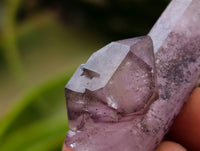 Natural Window Amethyst Crystals x 7 From Chiredzi, Zimbabwe