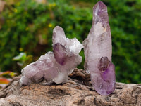 Natural Window Amethyst Crystals x 7 From Chiredzi, Zimbabwe