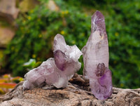 Natural Window Amethyst Crystals x 7 From Chiredzi, Zimbabwe