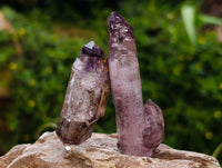 Natural Window Amethyst Crystals x 7 From Chiredzi, Zimbabwe