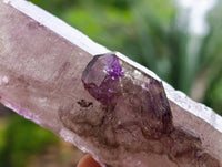 Natural Window Amethyst Crystals x 7 From Chiredzi, Zimbabwe