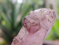 Natural Window Amethyst Crystals x 7 From Chiredzi, Zimbabwe