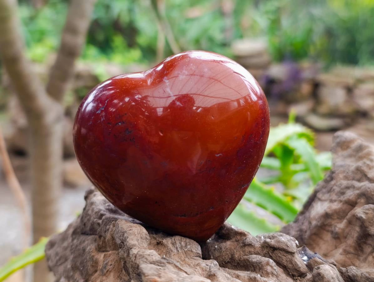 Polished Red Flame Jasper Standing Free Form x 6 From Madagascar