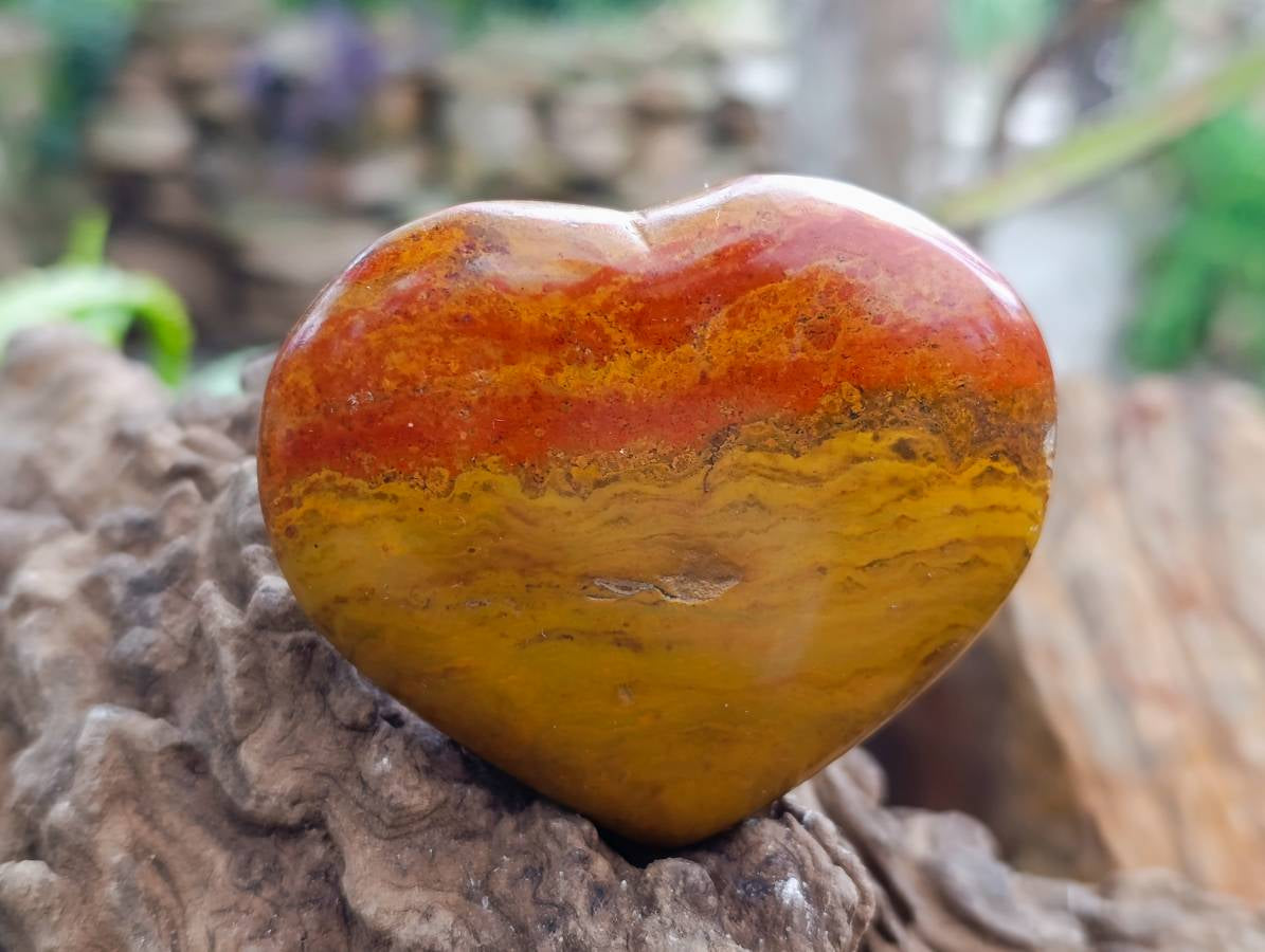 Polished Red Flame Jasper Standing Free Form x 6 From Madagascar