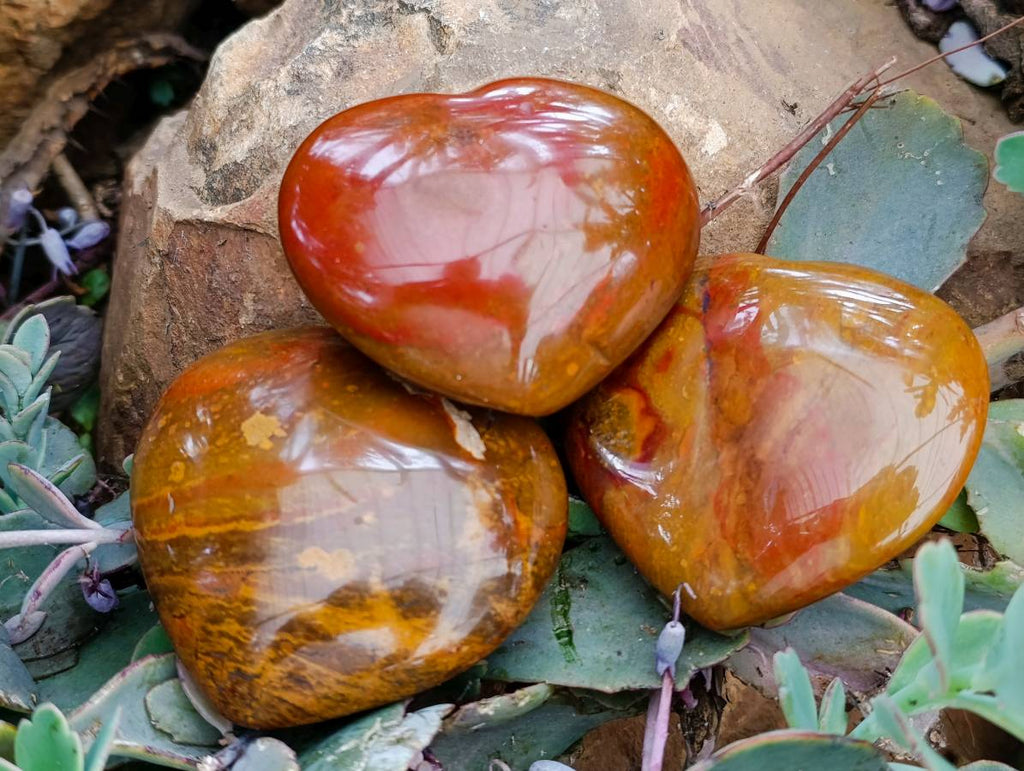 Polished Red Flame Jasper Standing Free Form x 6 From Madagascar