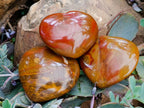 Polished Red Flame Jasper Standing Free Form x 6 From Madagascar