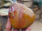 Polished Red Flame Jasper Standing Free Form x 6 From Madagascar