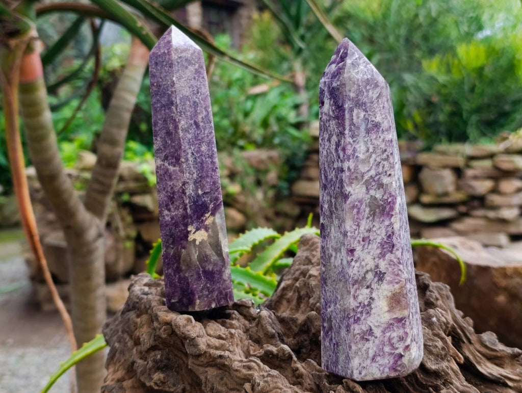 Polished Lepidolite Points x 3 From Madagascar