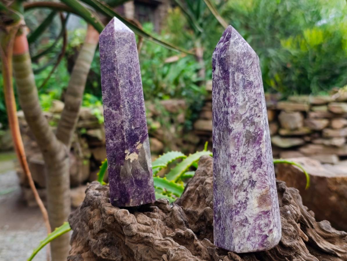 Polished Lepidolite Points x 3 From Madagascar