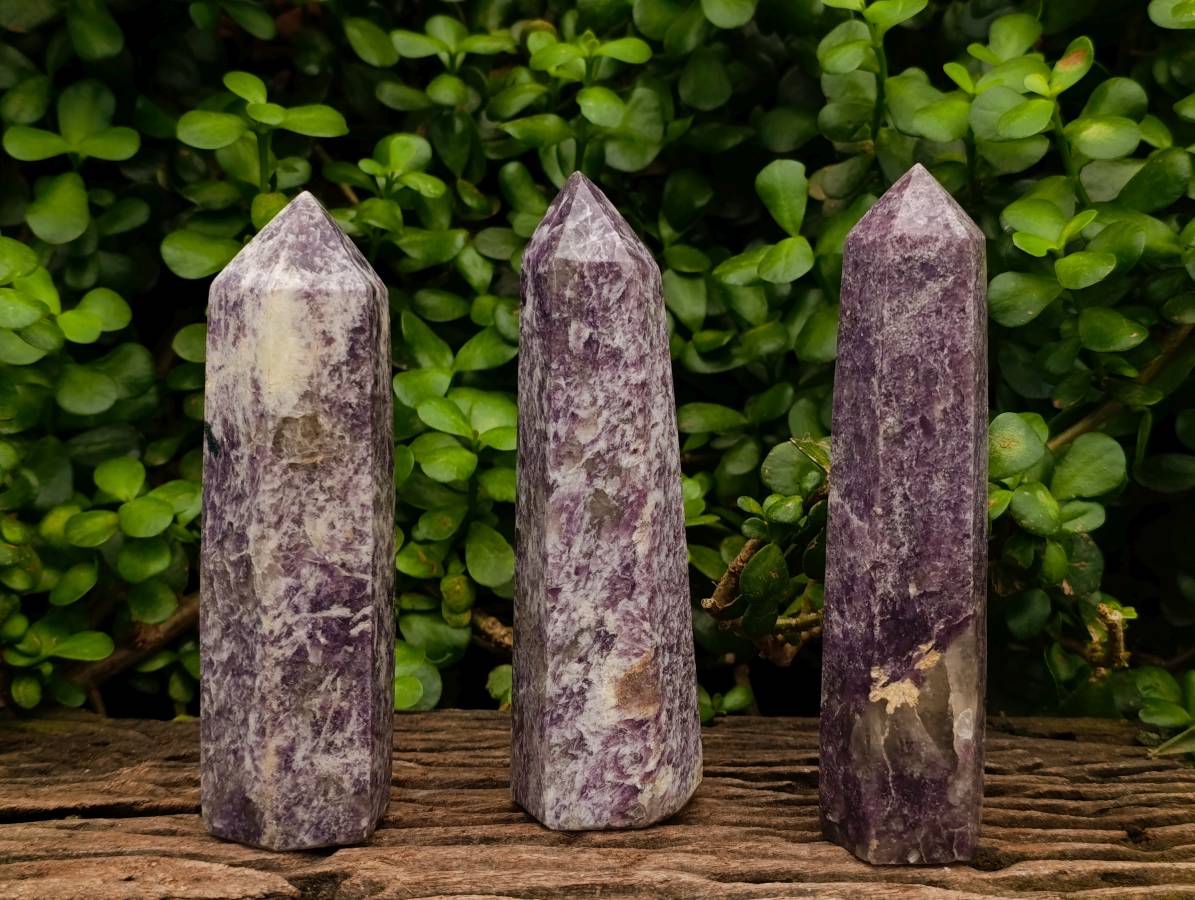 Polished Lepidolite Points x 3 From Madagascar