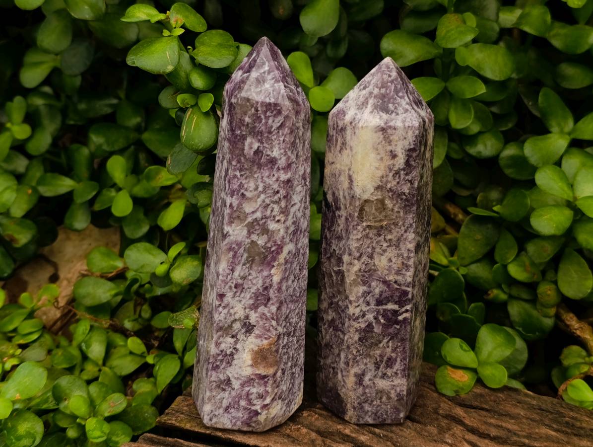 Polished Lepidolite Points x 3 From Madagascar
