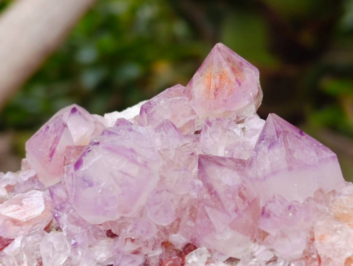 Natural Sunburst Amethyst Spirit Clusters x 2 From Boekenhouthoek, South Africa