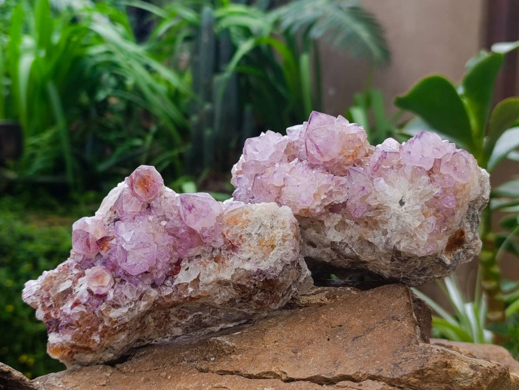 Natural Sunburst Amethyst Spirit Clusters x 2 From Boekenhouthoek, South Africa
