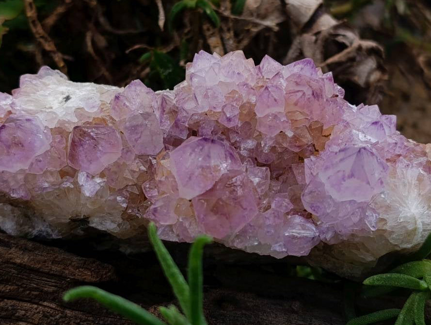Natural Sunburst Amethyst Spirit Clusters x 2 From Boekenhouthoek, South Africa
