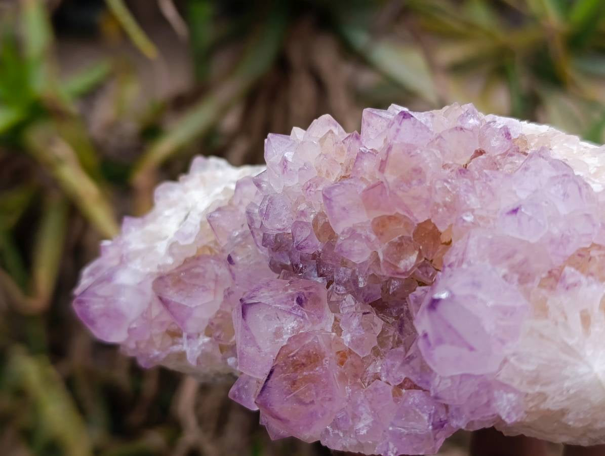 Natural Sunburst Amethyst Spirit Clusters x 2 From Boekenhouthoek, South Africa