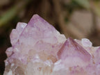 Natural Sunburst Amethyst Spirit Clusters x 2 From Boekenhouthoek, South Africa