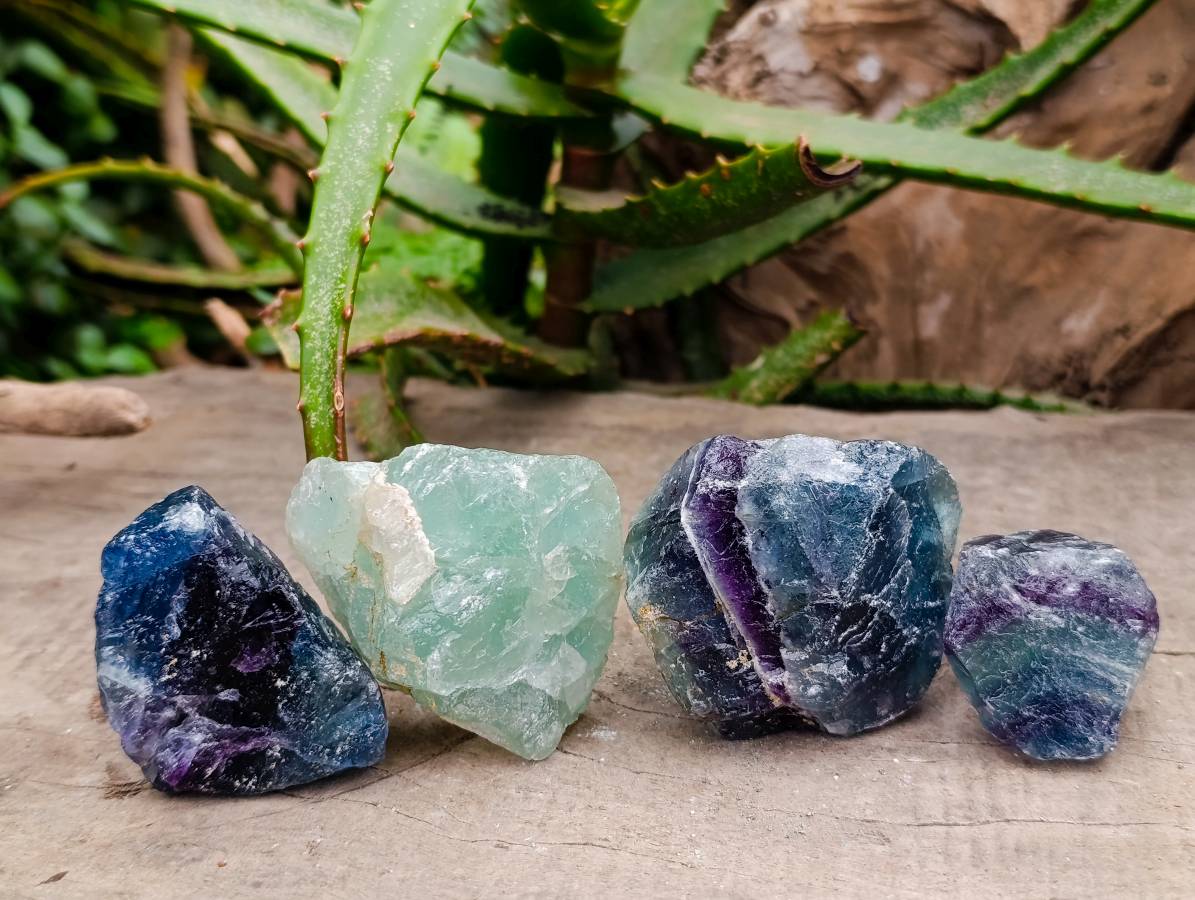 Natural Watermelon Fluorite Cobbed Specimens x 24 From Uis, Namibia