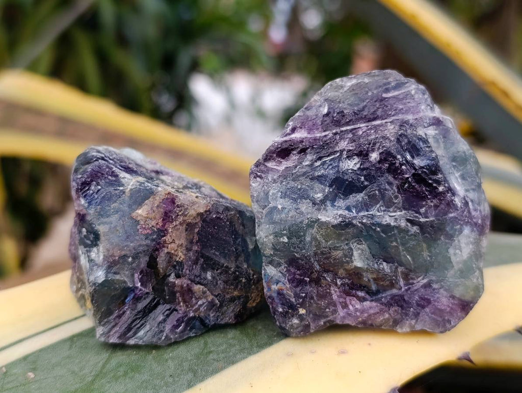 Natural Watermelon Fluorite Cobbed Specimens x 24 From Uis, Namibia