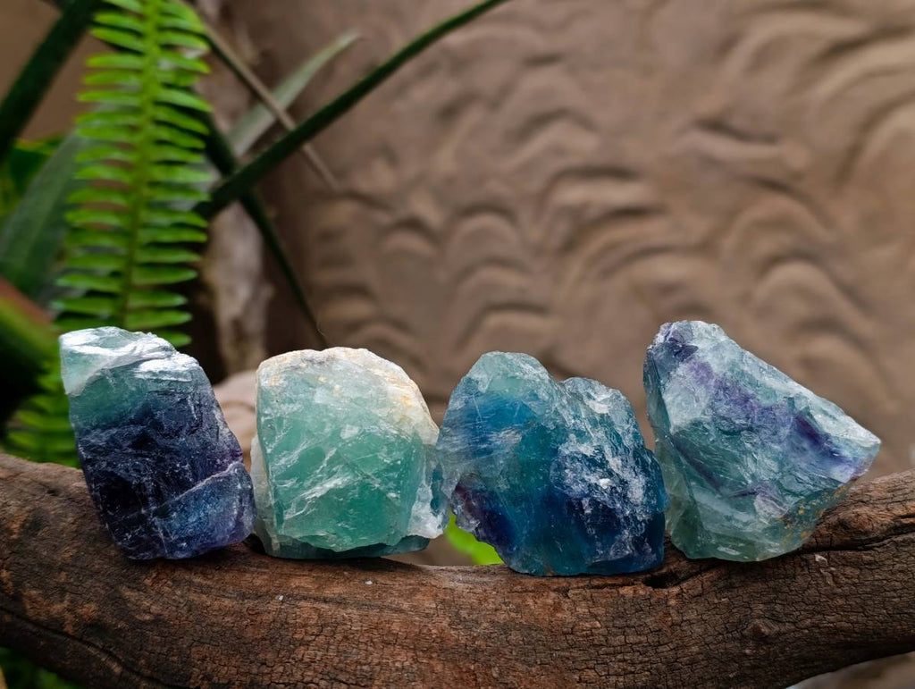 Natural Watermelon Fluorite Cobbed Specimens x 24 From Uis, Namibia