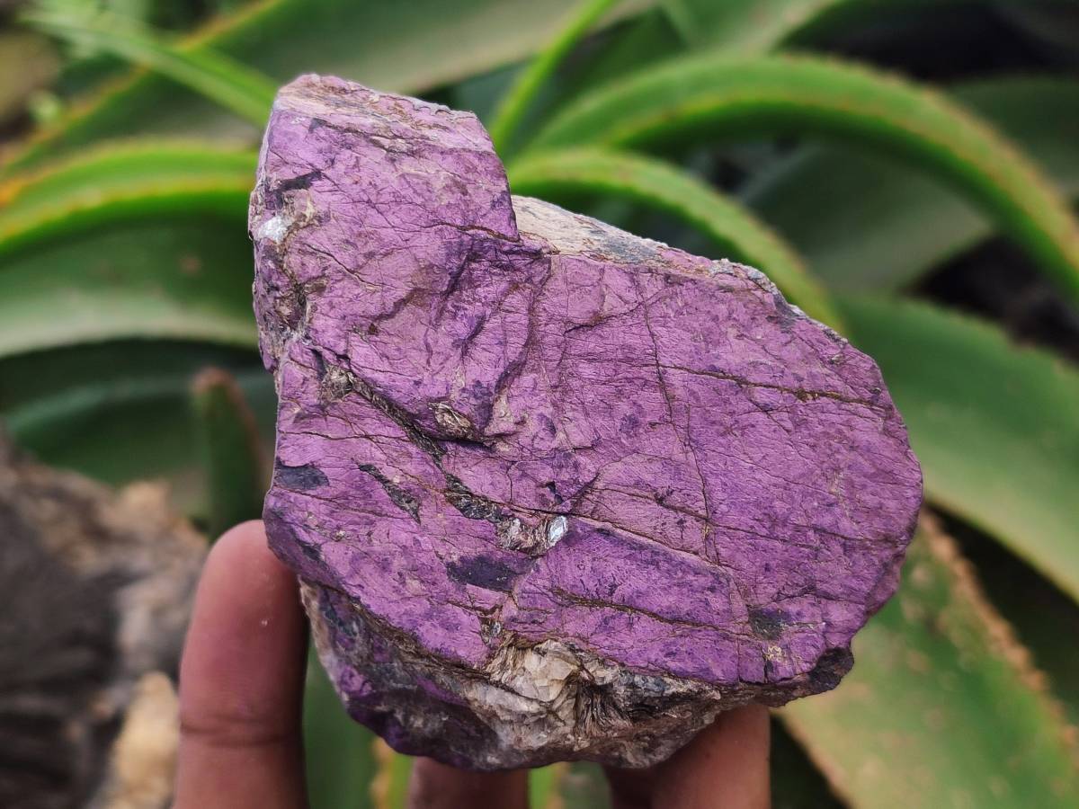 Natural Metallic Purpurite Specimens x 6 From Erongo, Namibia
