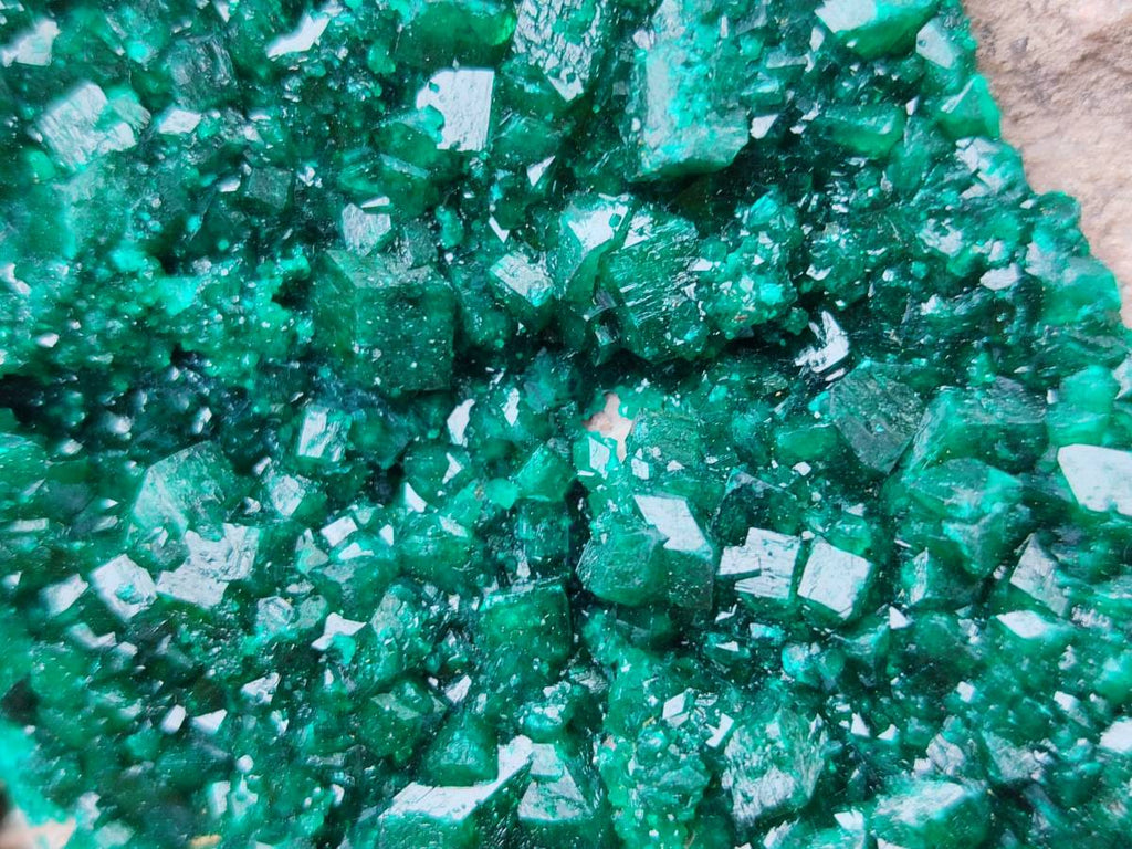 Natural XL Dioptase On Dolomite Specimen x 1 From Likasi, Congo