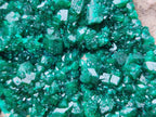 Natural XL Dioptase On Dolomite Specimen x 1 From Likasi, Congo