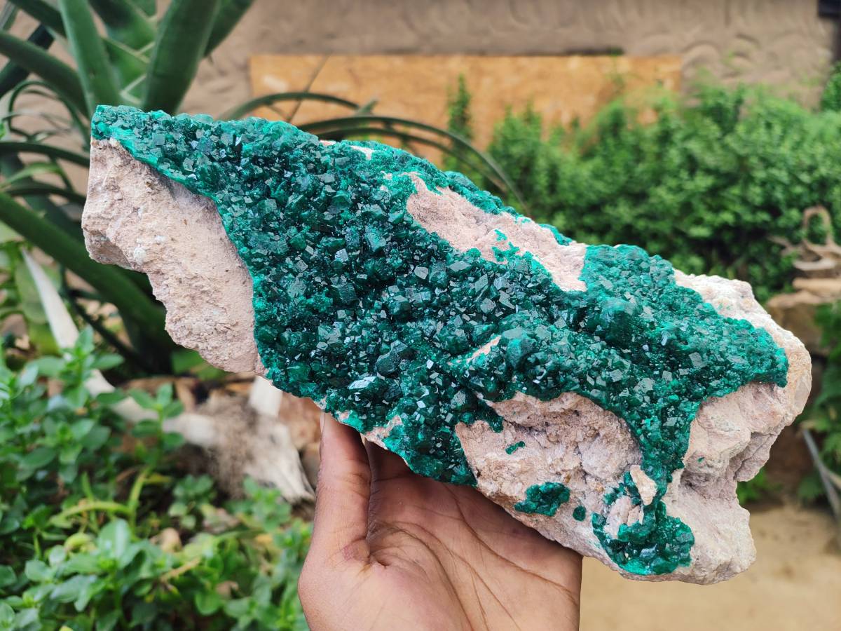 Natural XL Dioptase On Dolomite Specimen x 1 From Likasi, Congo