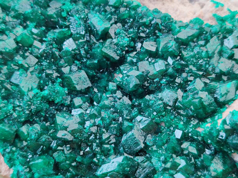 Natural XL Dioptase On Dolomite Specimen x 1 From Likasi, Congo - Toprock Gemstones and Minerals 