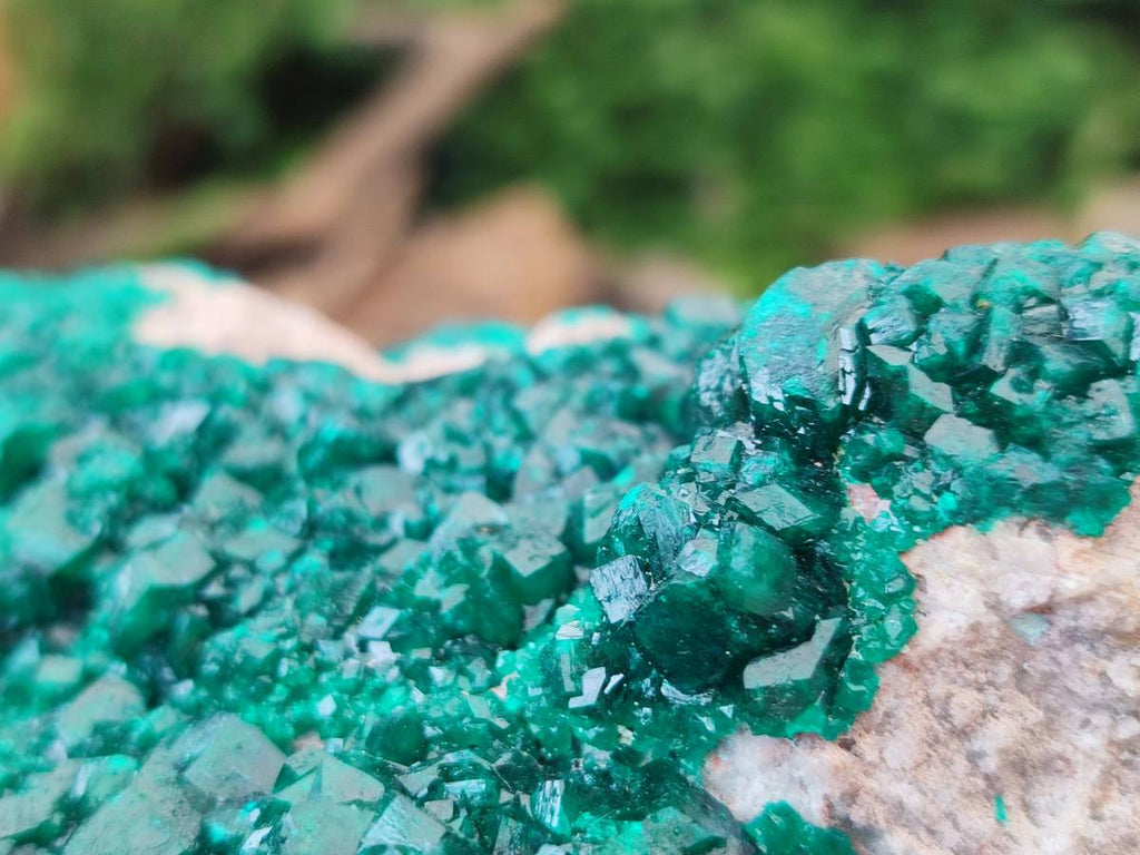 Natural XL Dioptase On Dolomite Specimen x 1 From Likasi, Congo