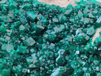 Natural XL Dioptase On Dolomite Specimen x 1 From Likasi, Congo