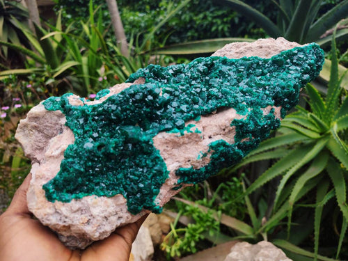 Natural XL Dioptase On Dolomite Specimen x 1 From Likasi, Congo - Toprock Gemstones and Minerals 