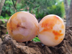 Polished Carnelian Agate Gemstone Palm Stones x 6 From Madagascar