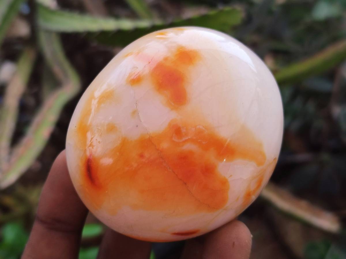 Polished Carnelian Agate Gemstone Palm Stones x 6 From Madagascar