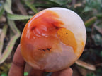 Polished Carnelian Agate Gemstone Palm Stones x 6 From Madagascar