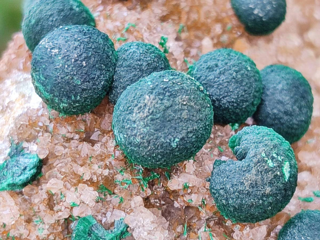 Natural Drusy Ball Malachite On Dolomite Matrix Specimens x 2 From Mindingi Mine, Kambove, Congo