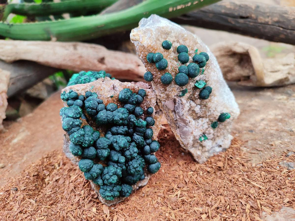 Natural Drusy Ball Malachite On Dolomite Matrix Specimens x 2 From Mindingi Mine, Kambove, Congo