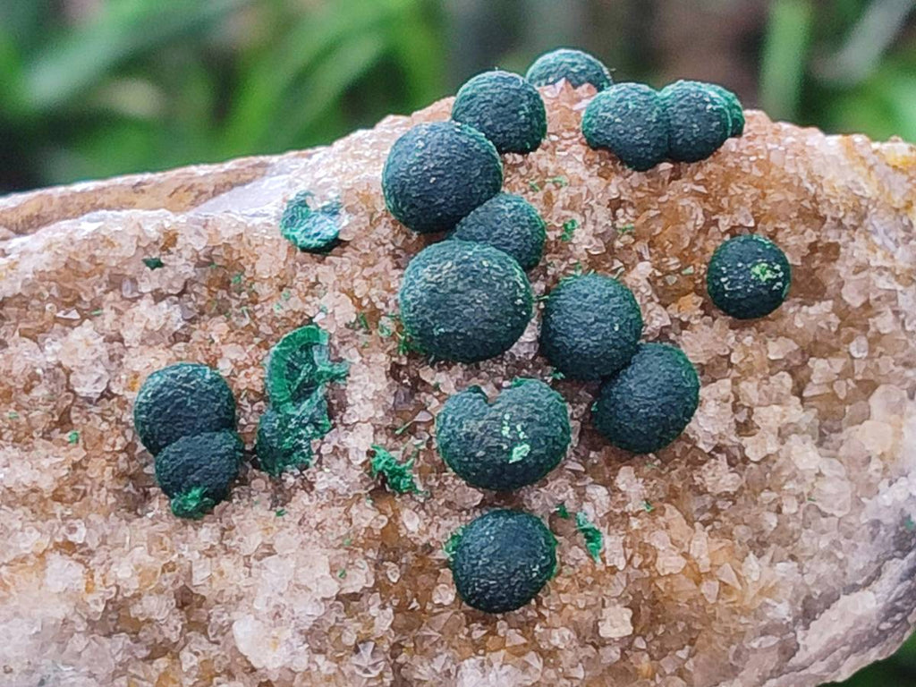 Natural Drusy Ball Malachite On Dolomite Matrix Specimens x 2 From Mindingi Mine, Kambove, Congo