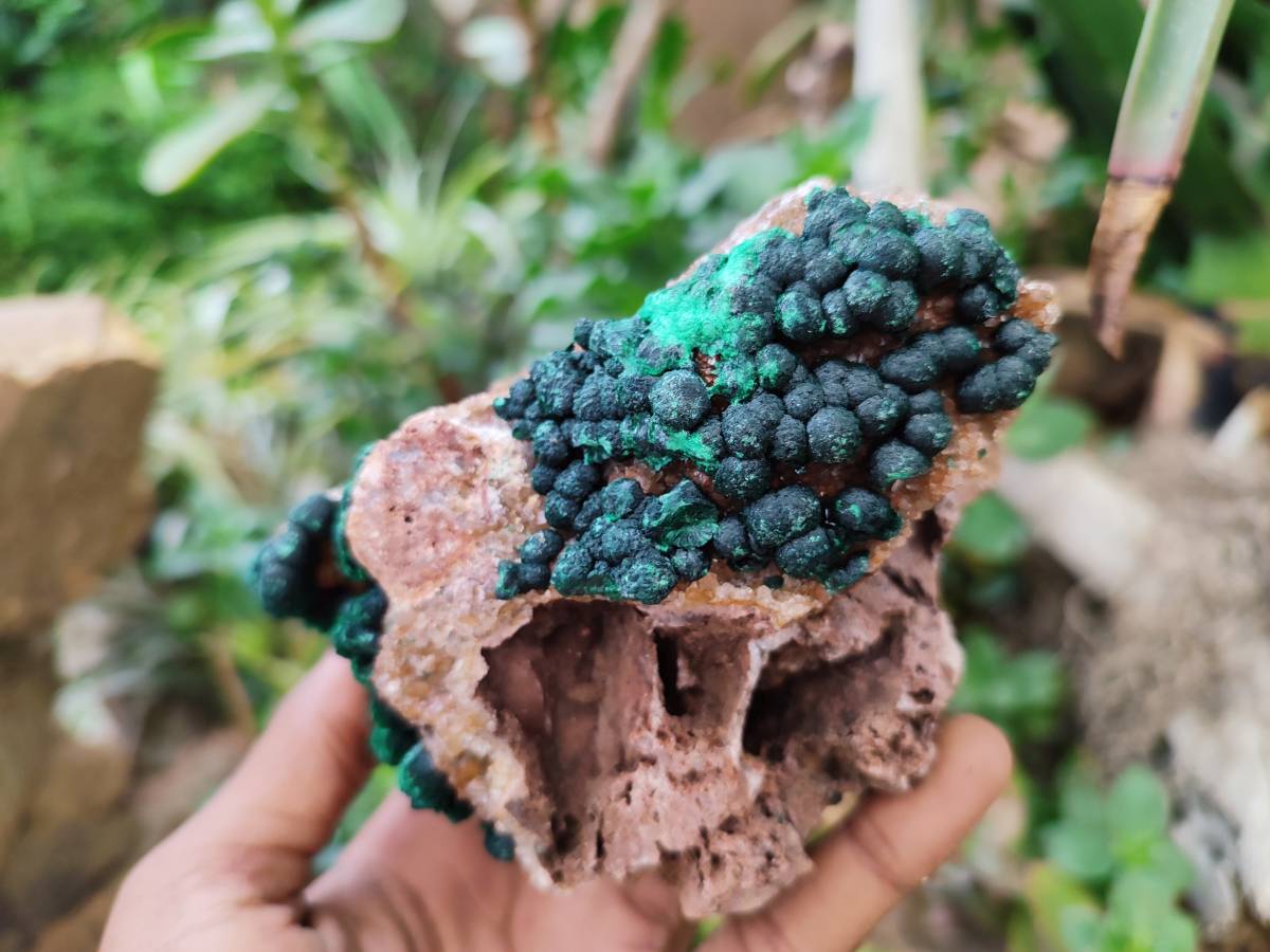 Natural Drusy Ball Malachite On Dolomite Matrix Specimens x 2 From Mindingi Mine, Kambove, Congo