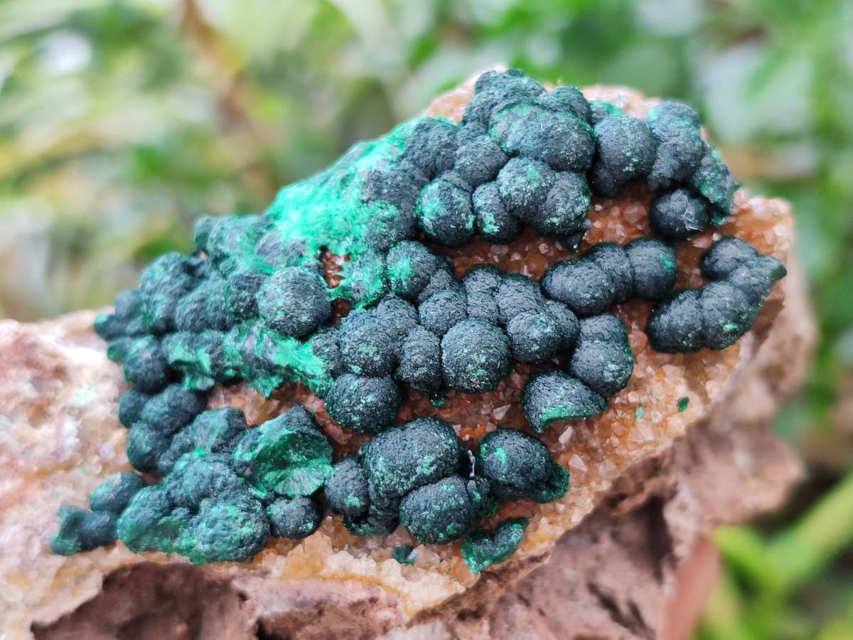 Natural Drusy Ball Malachite On Dolomite Matrix Specimens x 2 From Mindingi Mine, Kambove, Congo
