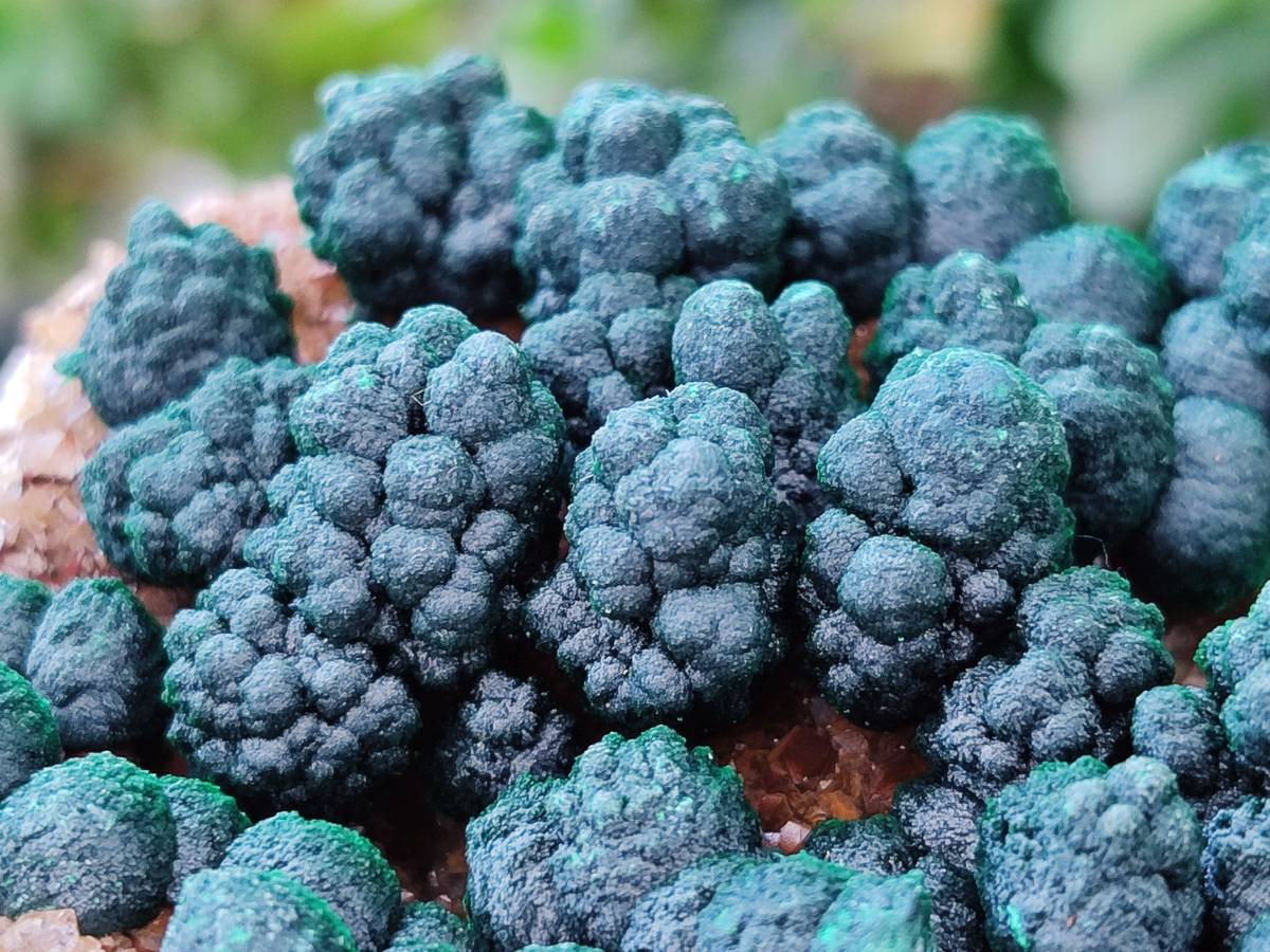 Natural Drusy Ball Malachite On Dolomite Matrix Specimens x 2 From Mindingi Mine, Kambove, Congo