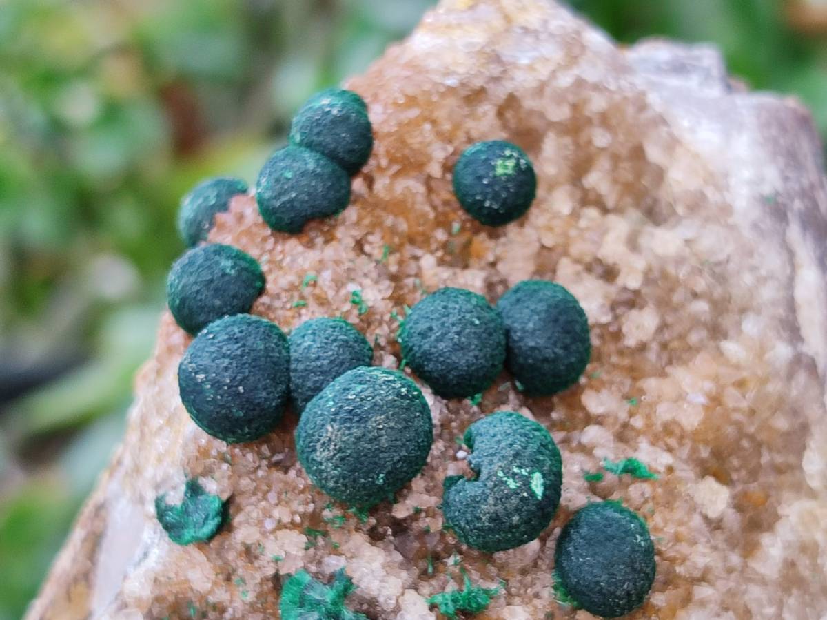 Natural Drusy Ball Malachite On Dolomite Matrix Specimens x 2 From Mindingi Mine, Kambove, Congo