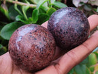 Polished Garnet Spheres x 6 From Mahajanga, Madagascar