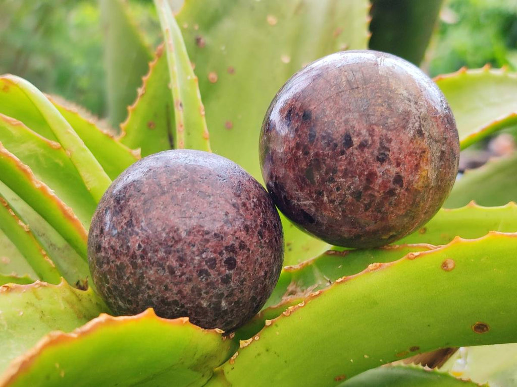 Polished Garnet Spheres x 6 From Mahajanga, Madagascar