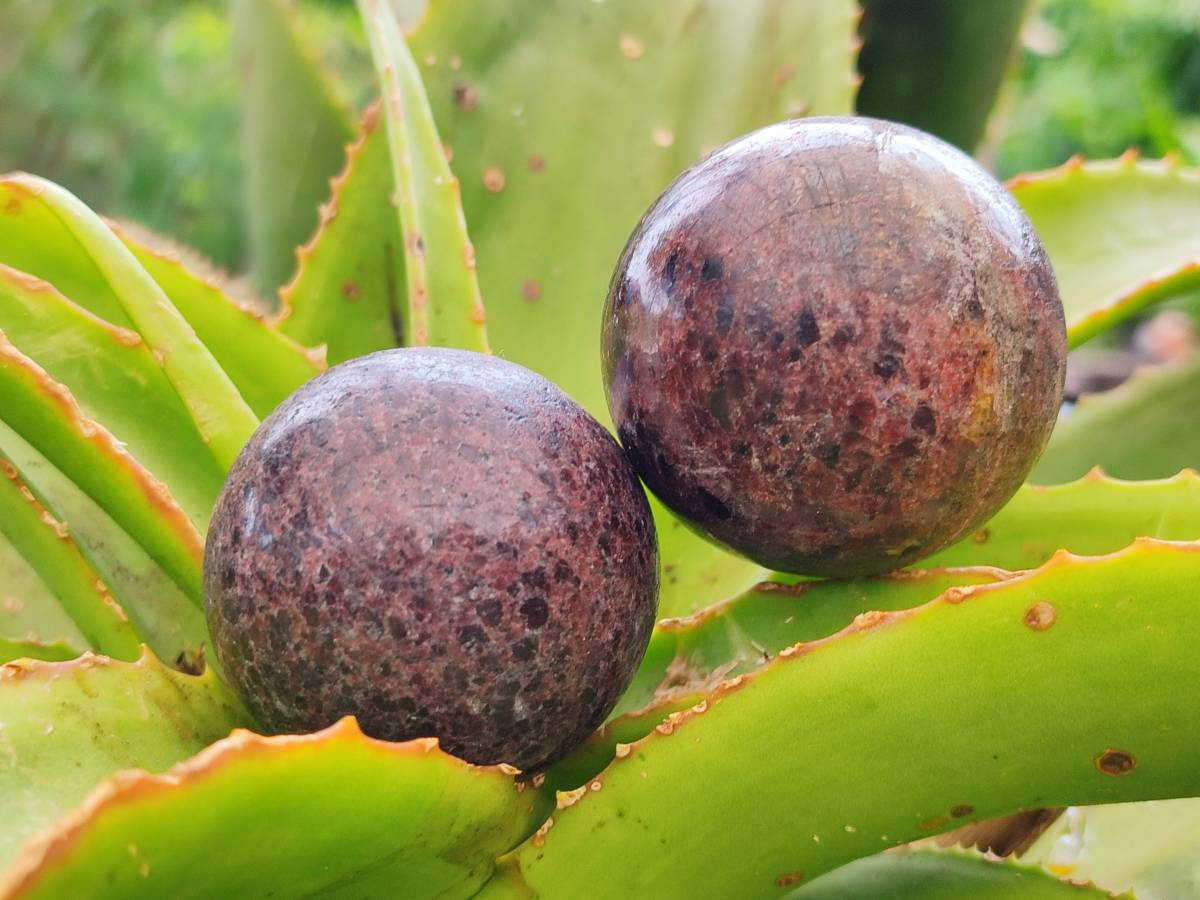Polished Garnet Spheres x 6 From Mahajanga, Madagascar