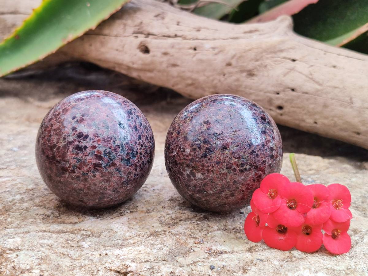 Polished Garnet Spheres x 6 From Mahajanga, Madagascar