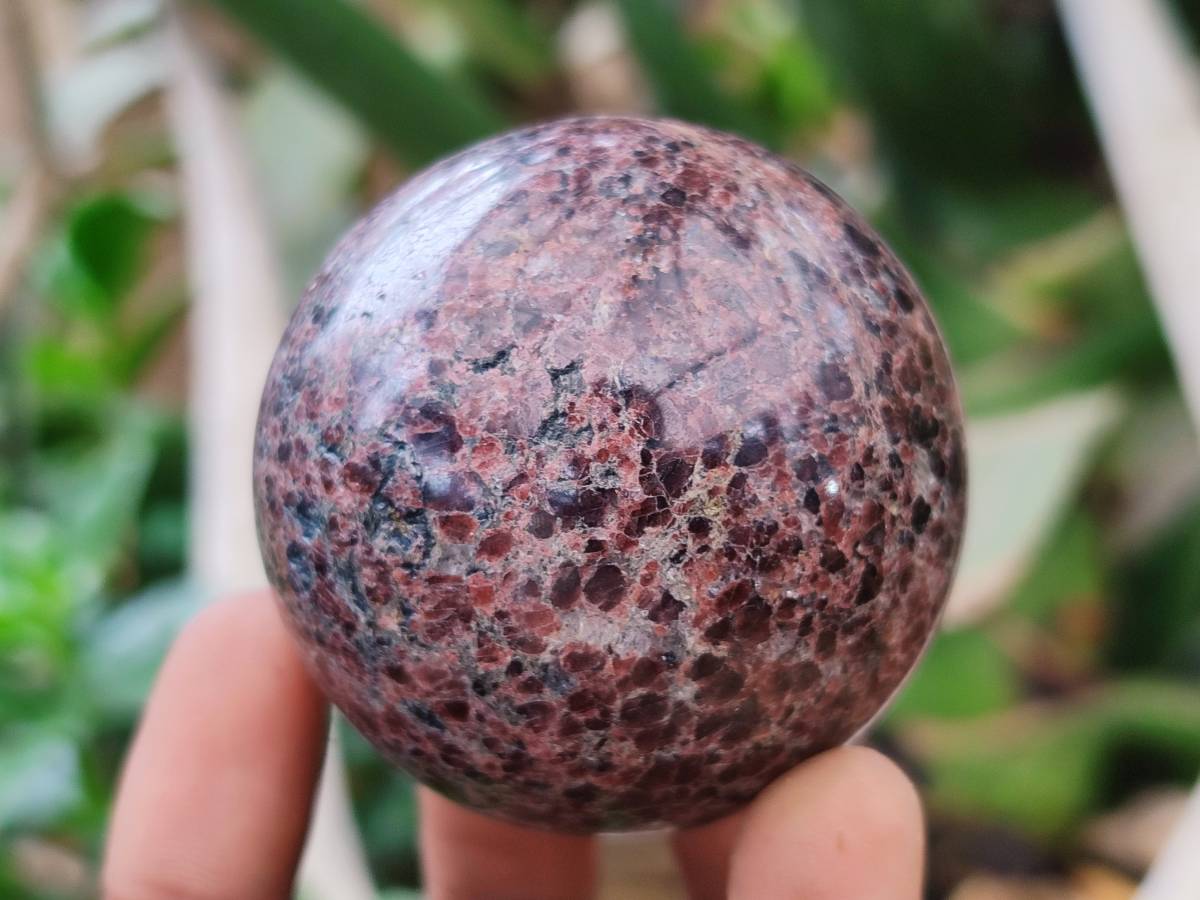 Polished Garnet Spheres x 6 From Mahajanga, Madagascar